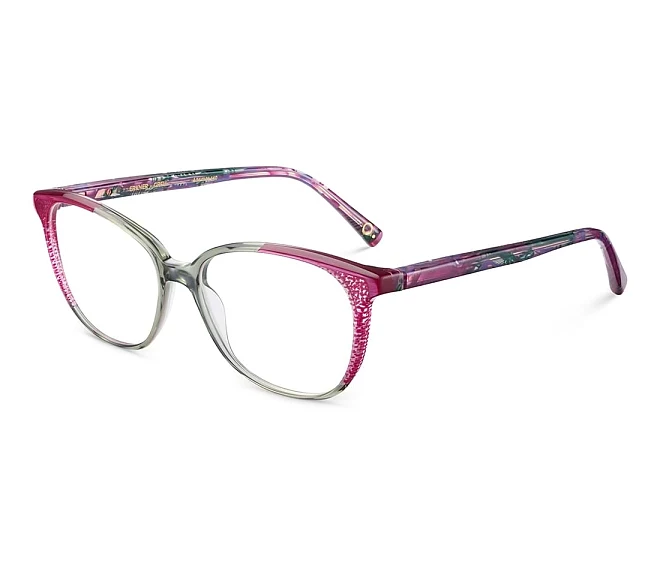 Lunettes de vue Etnia Barcelona ERKNER GRFU 53 15 VertFuchsia