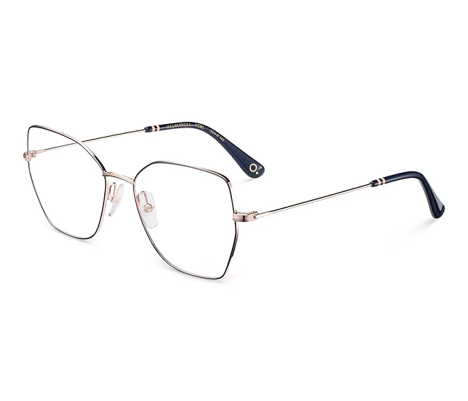 Lunettes de vue Etnia Barcelona MALVARROSA PGBL 55 17 Rose doréBleu
