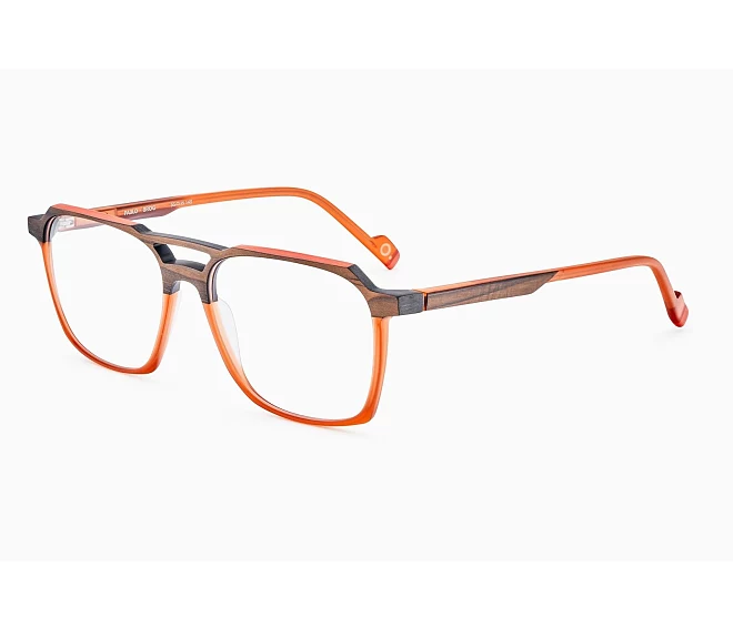 Lunettes de vue Etnia Barcelona PABLO BROG 55 16 OrangeMarron