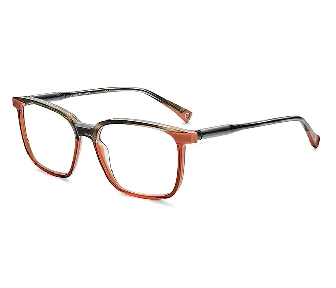 Lunettes de vue Etnia Barcelona WHITEOAK HVOG 54 15 MarronGris poire