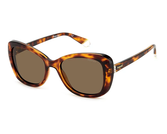 Lunettes de soleil Polaroid PLD-4132-S-X 086/SP  53 19 Havane