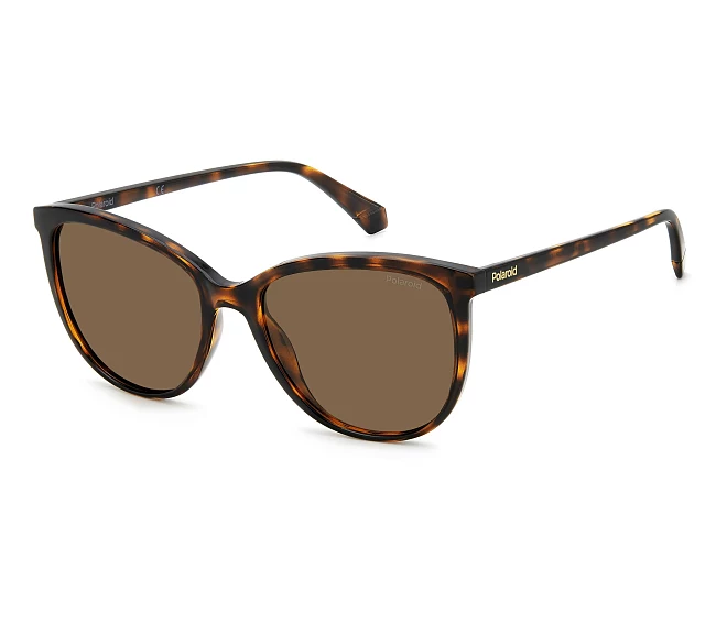 Lunettes de soleil Polaroid PLD-4138-S 086/SP 55 18 Havane