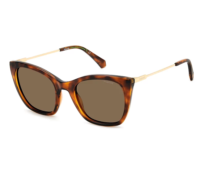 Lunettes de soleil Polaroid PLD-4144-S-X 086/SP 52 21 Havane