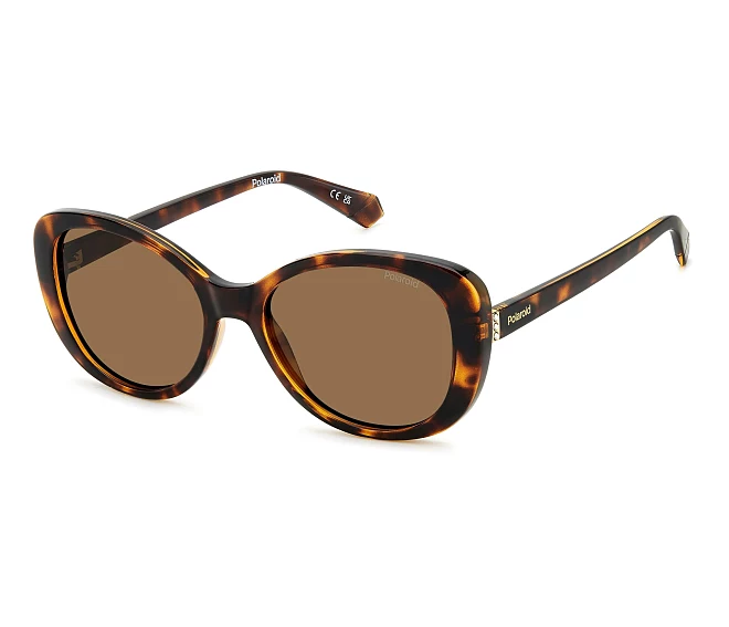 Lunettes de soleil Polaroid PLD-4154-S-X 086SP 55 18 Havane