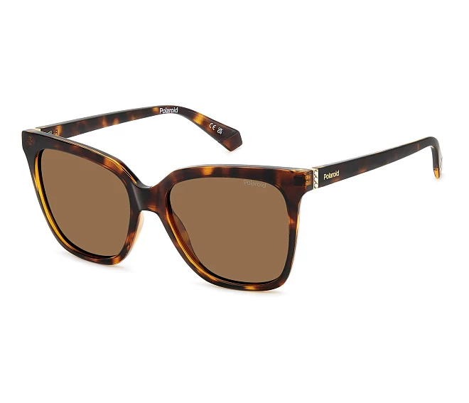 Lunettes de soleil Polaroid PLD-4155-S-X 086SP 55 17 Havane