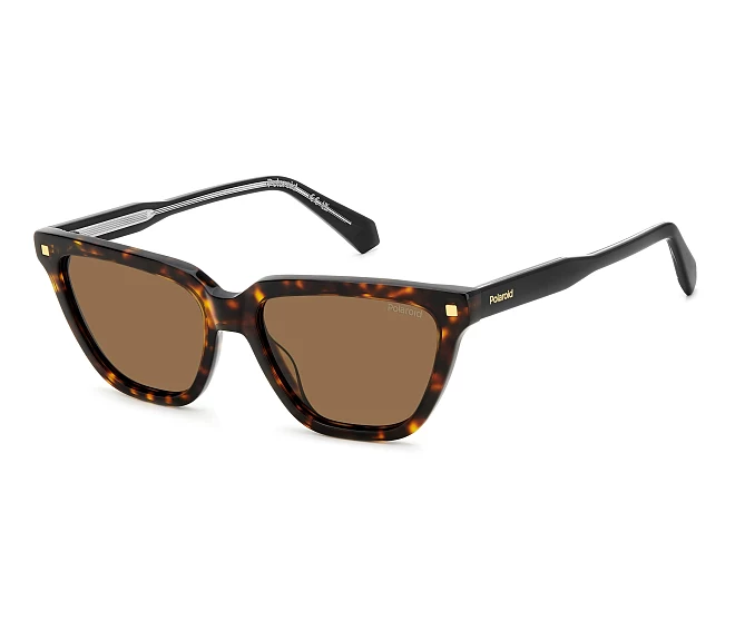 Lunettes de soleil Polaroid PLD-4157-S-X 086SP 55 16 Havane