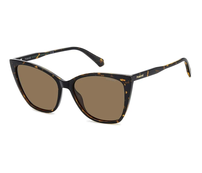 Lunettes de soleil Polaroid PLD-4181-S 086/SP 56 16 Havane