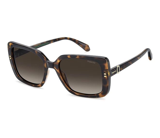 Lunettes de soleil Polaroid PLD-4199-S-X 086/LA 55 19 Havane