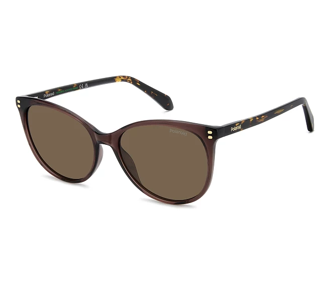Lunettes de soleil Polaroid PLD-4200-S-X 09Q/SP 56 16 Marron