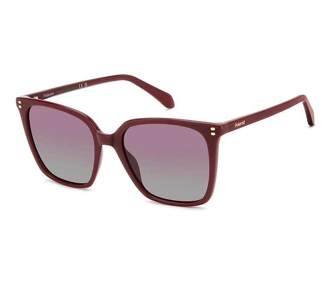 Lunettes de soleil Polaroid PLD-4201-S-X C9A/GC 55 18 Rouge