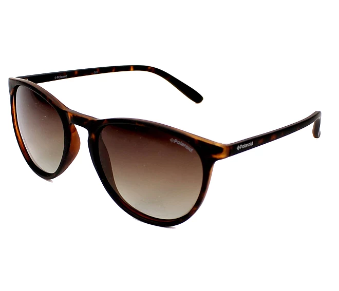 Lunettes de soleil Polaroid PLD-6003-NS V08/LA 54 19 Havane