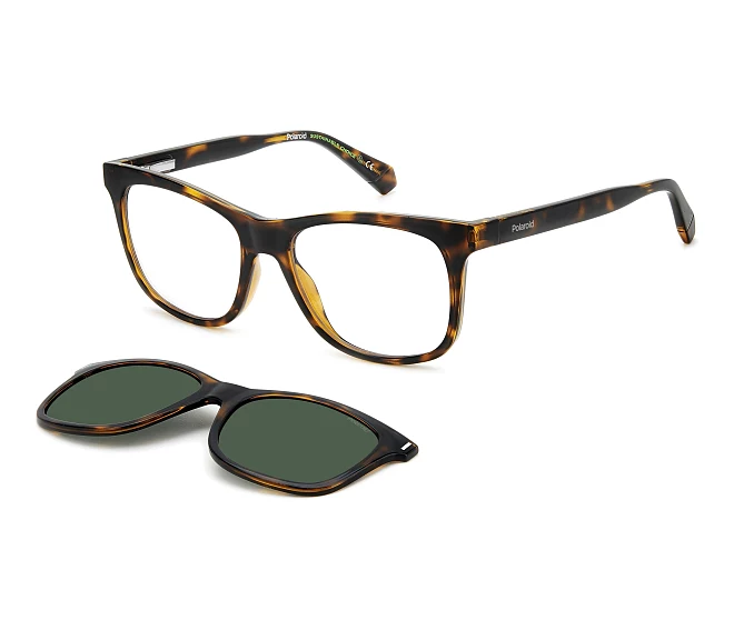 Lunettes de vue Polaroid PLD-6202-CS 086/UC 53 17 Havane