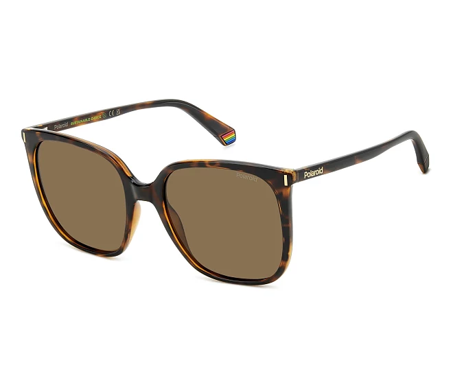 Lunettes de soleil Polaroid PLD-6218-S 086/SP 56 19 Havane