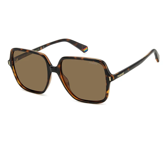Lunettes de soleil Polaroid PLD-6219-S 086/SP 56 17 Havane