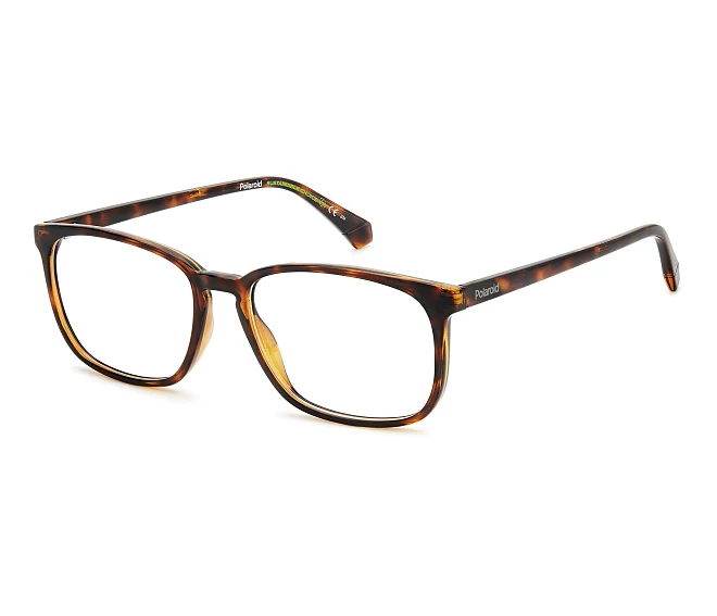 Lunettes de vue Polaroid PLD-D488 086 56 17 Havane