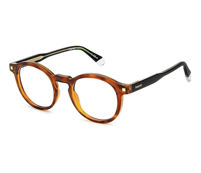 Lunettes de vue Polaroid PLD-D492 086 48 21 Havane