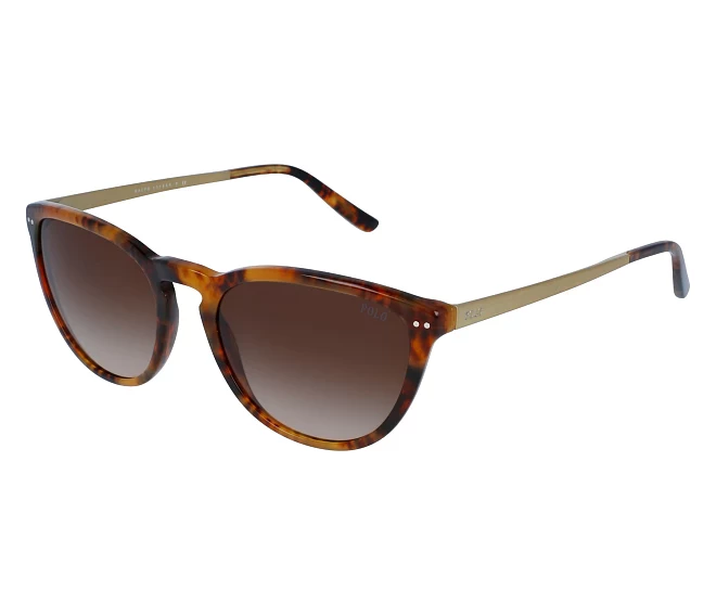 Lunettes de soleil Polo Ralph Lauren PH-4118 5017/13 55 19 HavaneOr