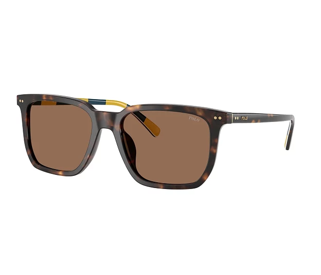 Lunettes de soleil Polo Ralph Lauren PH4224U 500373 55 18 Havane