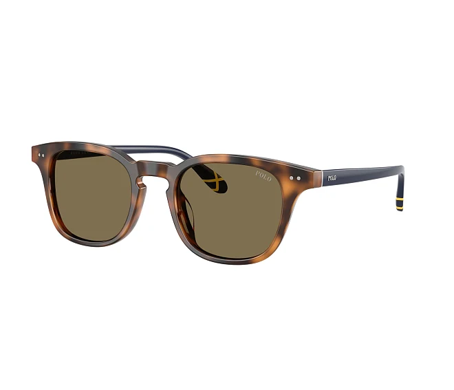 Lunettes de soleil Polo Ralph Lauren PH4251U 608973 50 21 Havane