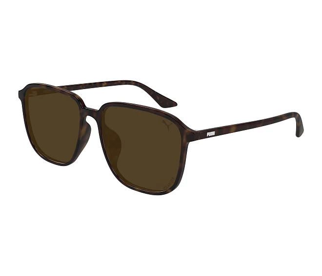 Lunettes de soleil Puma PU0525SA 004 58 16 Havane