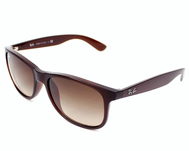 Lunettes de soleil Ray-Ban RB-4202 6073/13 55 17 Marron