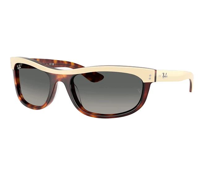Lunettes de soleil Ray-Ban RB2489 144371 62 19 Beige
