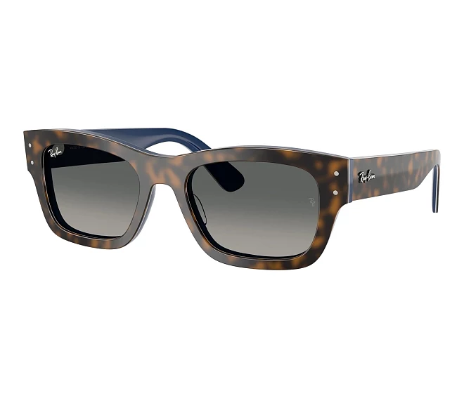 Lunettes de soleil Ray-Ban RB7683S 140171 55 20 Gris