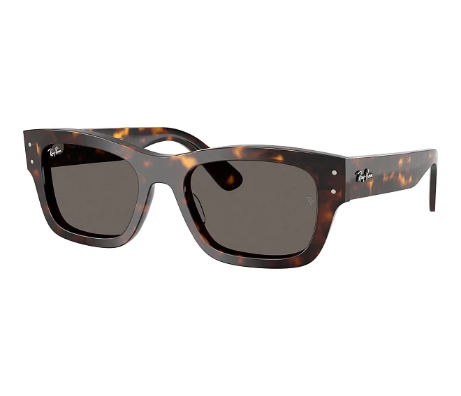 Lunettes de soleil Ray-Ban RB7683S 902/B1 55 20 Havane