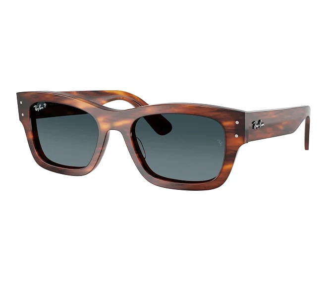Lunettes de soleil Ray-Ban RB7683S 954/S3 55 20 Marron