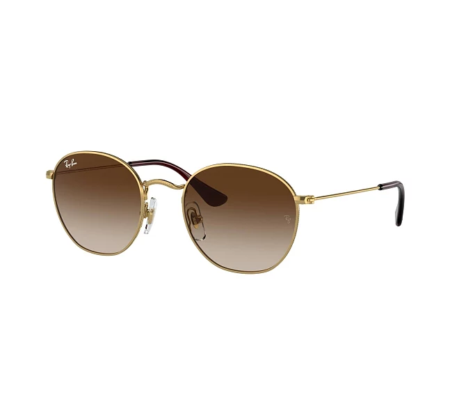 Lunettes de soleil Ray-Ban RJ9572S 223/13 48 19 Or