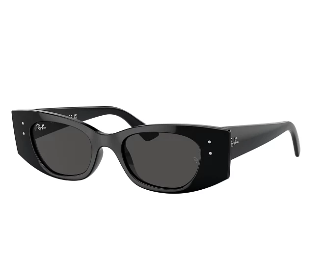 Lunettes de soleil Ray-Ban RB4427 667787 49 20 Noir