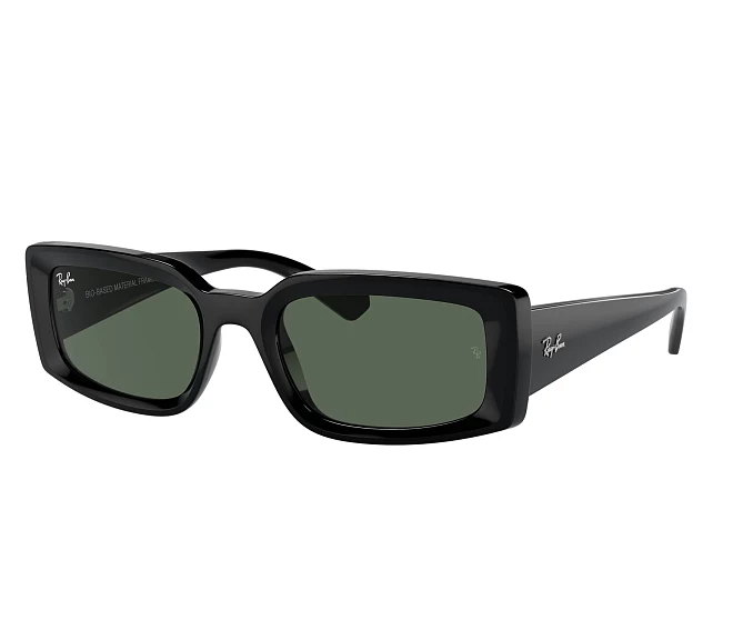 Lunettes de soleil Ray-Ban RB4395 667771 54 21 Noir