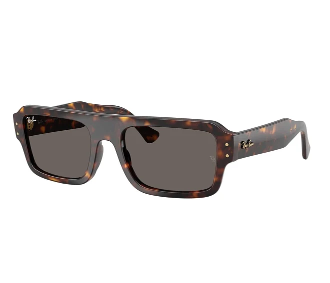 Lunettes de soleil Ray-Ban RB4454 1359B1 53 20 Havane