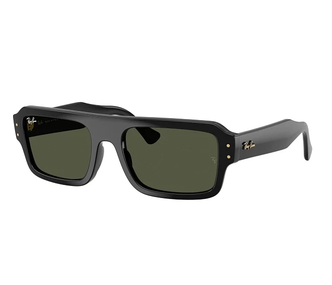 Lunettes de soleil Ray-Ban RB4454 667731 53 20 Noir