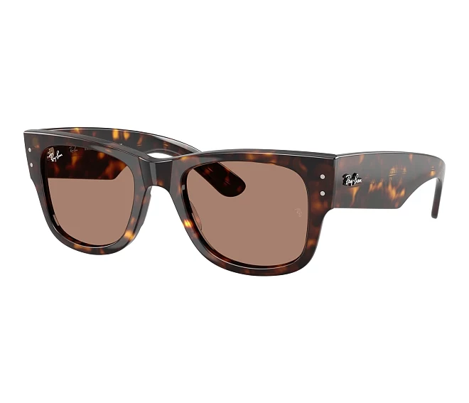 Lunettes de soleil Ray-Ban RB0840S 902/1A 51 21 Havane