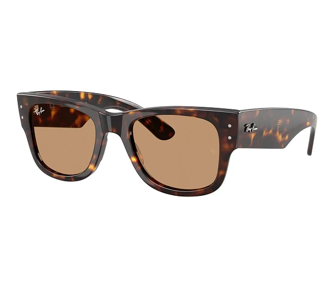 Lunettes de soleil Ray-Ban RB0840S 902/53 51 21 Havane
