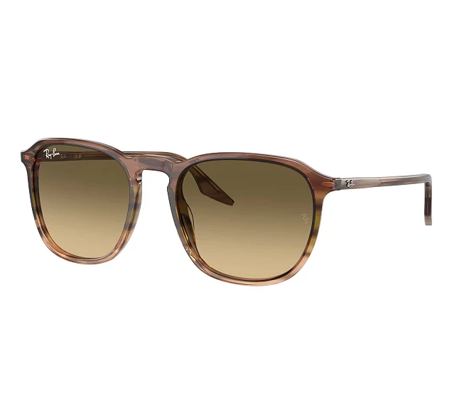 Lunettes de soleil Ray-Ban RB2203 13920A 55 20 Marron