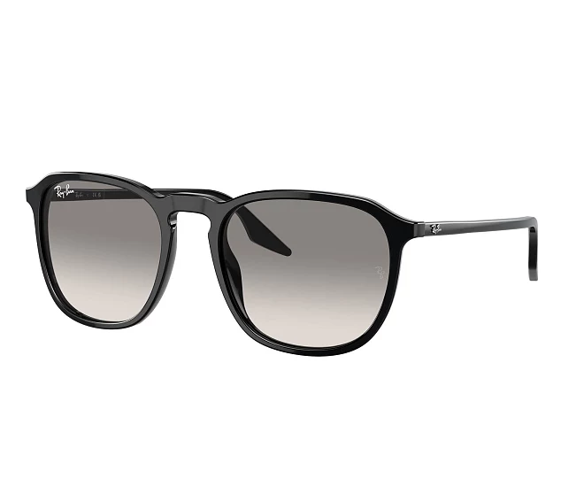 Lunettes de soleil Ray-Ban RB2203 901/32 55 20 Noir