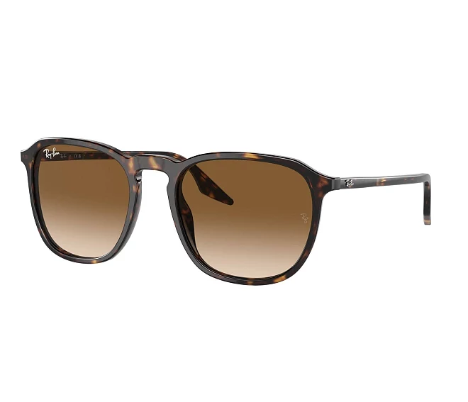 Lunettes de soleil Ray-Ban RB2203 902/51 55 20 Havane