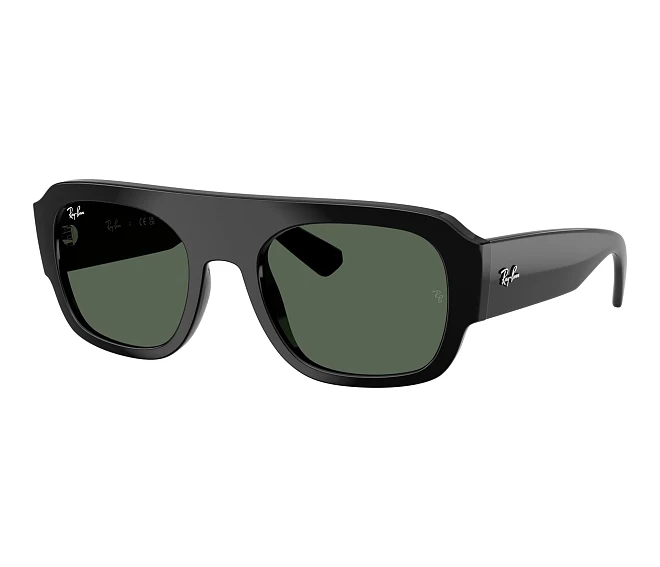 Lunettes de soleil Ray-Ban RB2218 667771 55 22 Noir