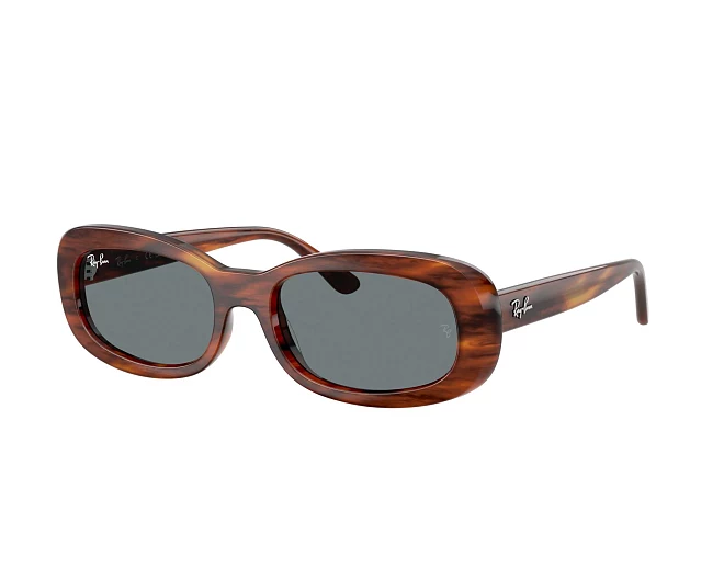 Lunettes de soleil Ray-Ban RB2221 954/62 53 18 Marron