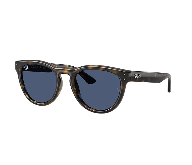 Lunettes de soleil Ray-Ban RB2237 710/80 51 20 Havane