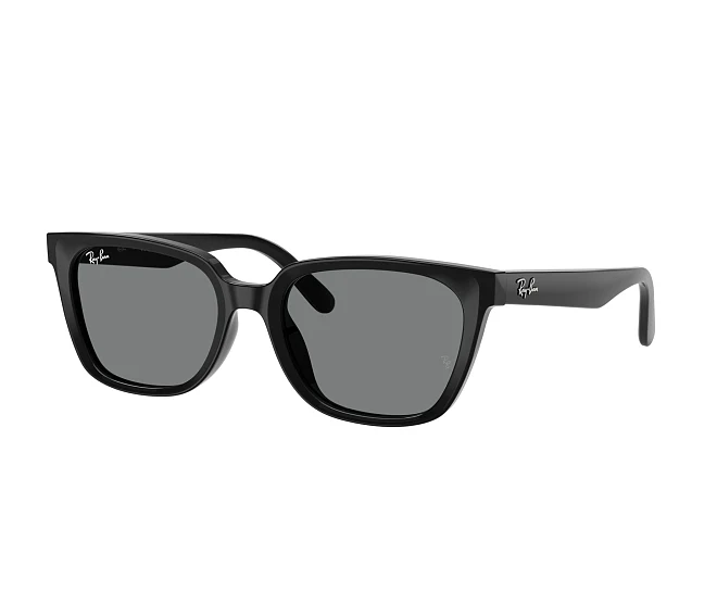 Lunettes de soleil Ray-Ban RB2243D 901/87 55 19 Noir