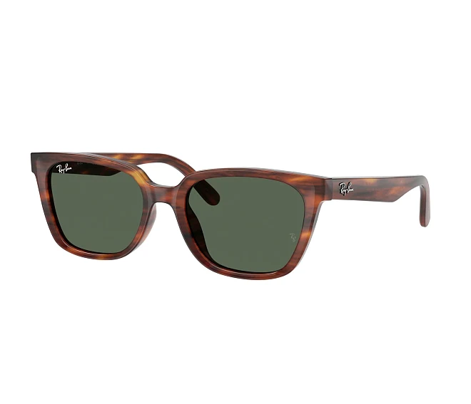 Lunettes de soleil Ray-Ban RB2243D 954/71 55 19 Marron