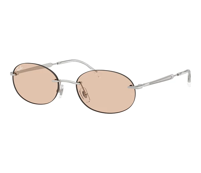 Lunettes de soleil Ray-Ban RB3767 003/MG 54 18 Argent