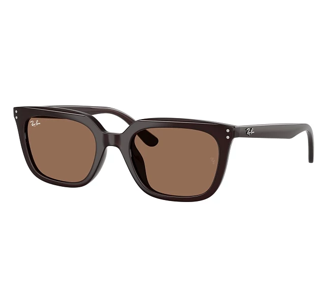 Lunettes de soleil Ray-Ban RB4439D 623173 54 21 Marron