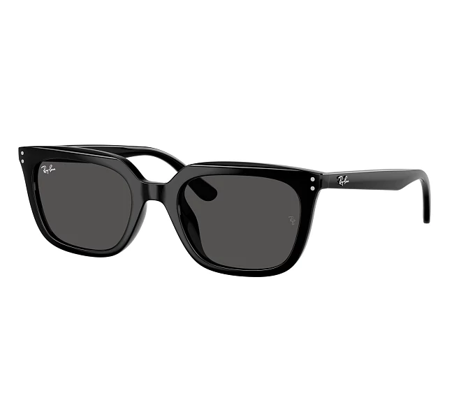 Lunettes de soleil Ray-Ban RB4439D 901/87 54 21 Noir