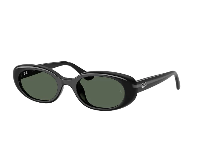 Lunettes de soleil Ray-Ban RB4441D 667771 53 21 Noir
