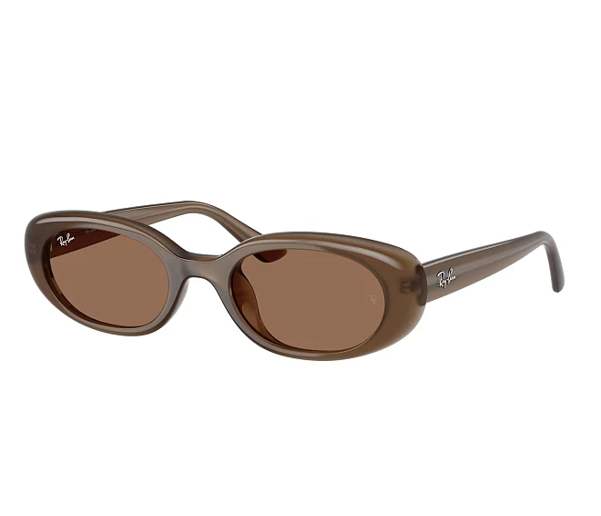 Lunettes de soleil Ray-Ban RB4441D 677973 53 21 Marron