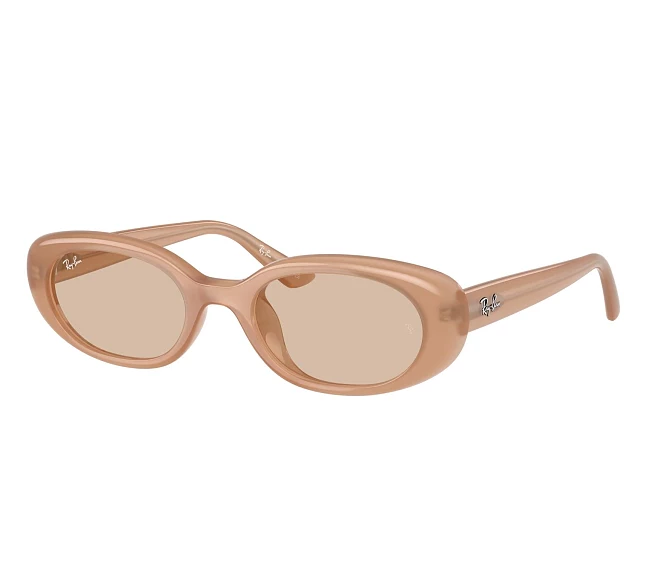 Lunettes de soleil Ray-Ban RB4441D 678793 53 21 Marron